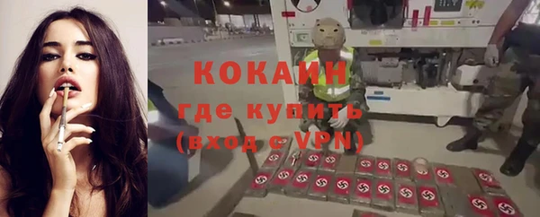 тгк Алзамай