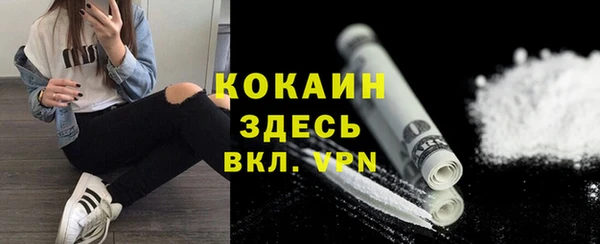тгк Алзамай