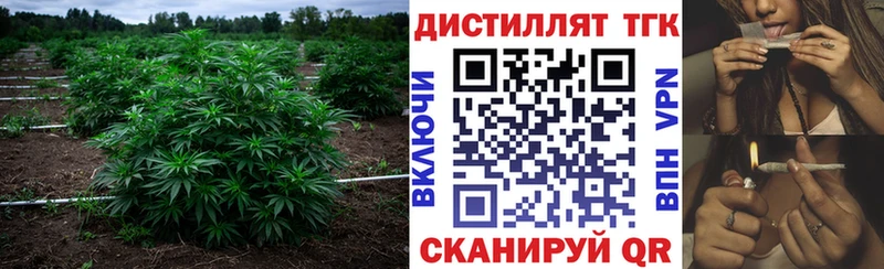 ОМГ ОМГ ССЫЛКА  цены   маркетплейс состав  Дистиллят ТГК вейп с тгк  Гдов 